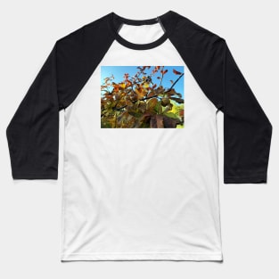 Medlar fruits on the tree Baseball T-Shirt